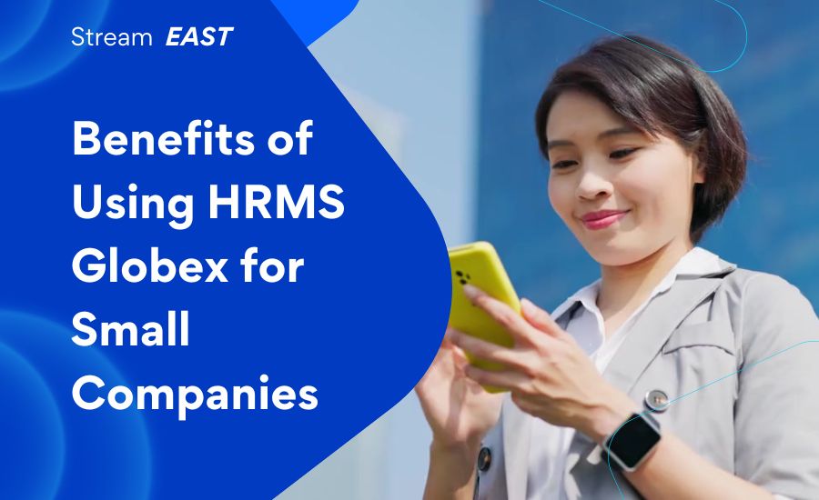 HRMS Globex: Best HR Management Software 2024